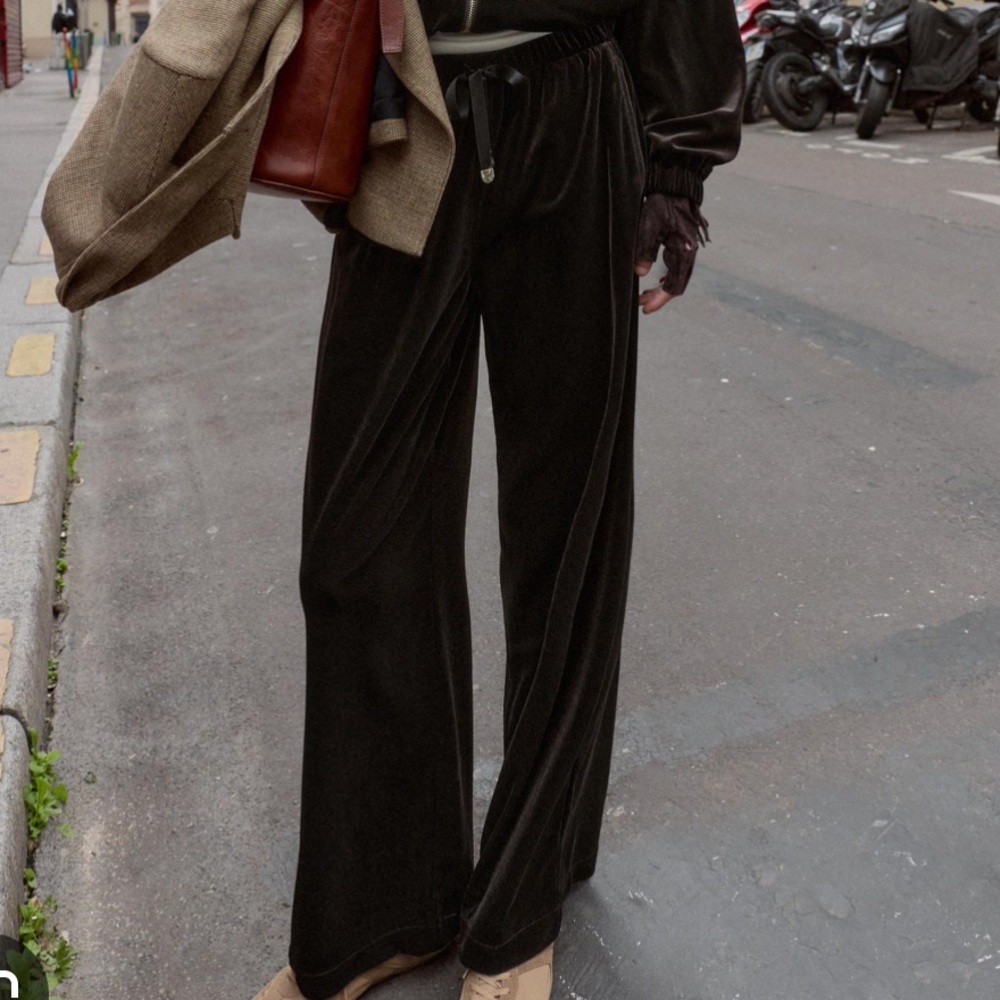 Zara NWT velvet pants brown 4745/224